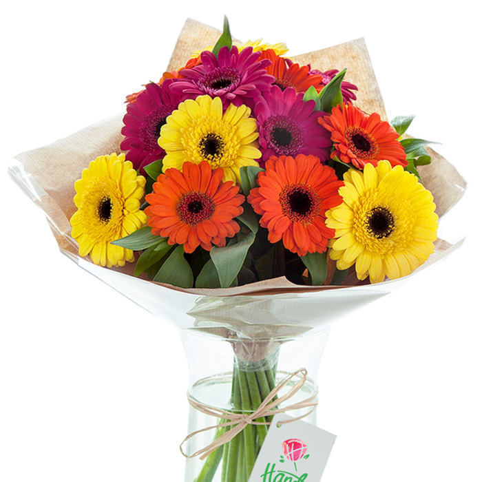 Elegantly showcased in a clear glass vase, this Uxbridge-bred Gerbera bouquet stands as a radiant tribute to the joy and exuberance of life's milestones. Approximately a dozen large Gerbera daisies, in a striking combination of bright yellow, bold orange, and sumptuous magenta, take centre stage, their inky centres providing contrast and dimension to the lush blooms. The soft, velvety petals are surrounded by fresh, deep green foliage, crafting a rich tapestry that draws the eye and gladdens the heart-much like the colourful displays seen along Windsor Street. The arrangement is hand-wrapped in organic-feeling, lightly crinkled kraft paper, evoking local tradition and earthy charm, and further shielded by a crystal-clear cellophane cone. The lower stems, neatly bundled and tied with natural raffia, are visible through the vase's transparency, resting in pristine water to ensure enduring freshness. A discreet white gift tag, accented with a red rose motif, hangs gracefully from the twine, ready for a heartfelt message. Bathed in soft, natural light, the bouquet radiates with a cheerful, welcoming energy, suitable for surprise deliveries, celebration tables, or comforting visits throughout Uxbridge and its surrounding areas.
