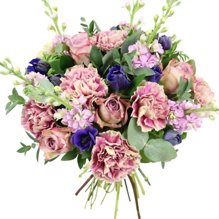 This image shows a sumptuous bouquet arranged against a plain white backdrop, making its colours and shapes appear particularly clear and defined. At the heart of the composition sit several large garden roses in tones of blush pink, dusty mauve, and antique rose, their spiralling petals layered tightly yet softly, exuding a classic romance that would feel at home in an Uxbridge townhouse or modern apartment near the station. Woven around them are plentiful ruffled carnations, their petals delicately frayed at the edges and coloured in a gradual blend from creamy beige and pale blush at the core to deeper rose, fuchsia, and plum along the tips, adding generous volume and tactile richness. Deep, jewel-like blues create striking contrast: a prominent royal blue anemone with a near-black centre anchors the design near the lower front, while smaller, tulip-like buds in similar indigo shades rest among the pinks, drawing the eye inward. Adding a vertical, almost whimsical element, stems of lilac and pale lavender stock rise gracefully, each one dotted with clusters of tiny blossoms that bring a sense of airiness and a whispered scent of spring florals, reminiscent of gardens along the Grand Union Canal. Surrounding all of this, an abundance of greenery offers balance and structure-broad, dark green foliage provides depth, while rounded, silvery eucalyptus leaves soften the outline and suggest a cool, refreshing fragrance. The stems at the base are neatly bound and visible, underscoring that this is a freshly tied bouquet, perfect for delivery across Uxbridge and surrounding neighbourhoods for anniversaries, birthdays, expressions of gratitude, or thoughtful sympathy, radiating gentle elegance and warmth.